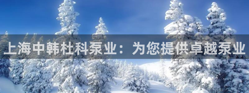 彩神Vll购彩大厅：上海中韩杜科泵业：为您提供卓越泵业