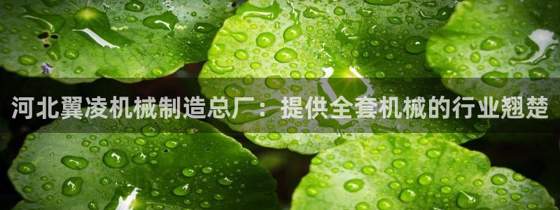 彩神旗下有哪些平台可以看