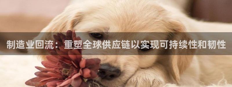 下载彩神v8：制造业回流：重塑全球供应链以实现可持续性和韧性