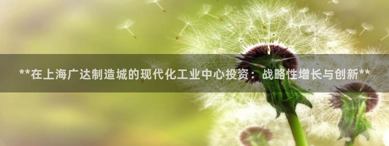 彩神v大众娱乐：**在上海广达制造城的现代化工业中心投资：战