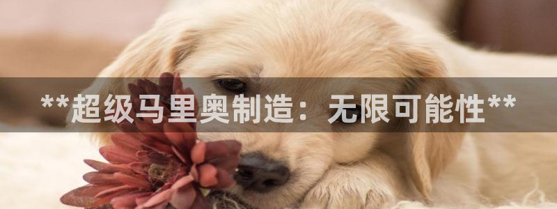 彩神iv真的能赚钱吗：**超级马里奥制造：无限可能性**