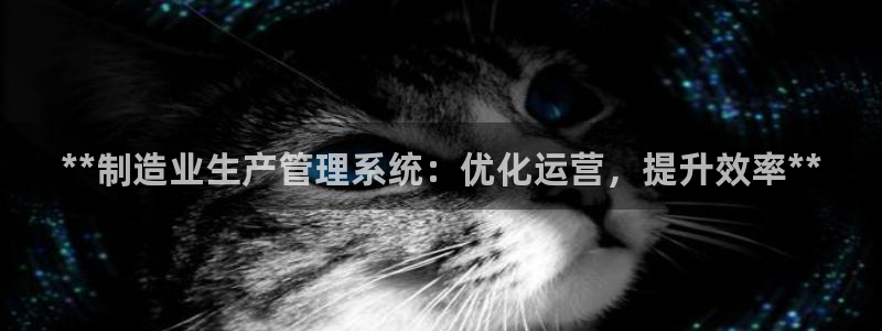 彩神8是正规平台吗：**制造业生产管理系统：优化运营，提升效率**