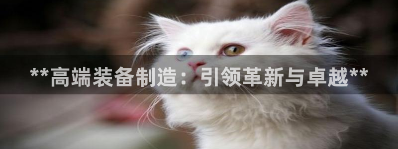 彩神v破解版：**高端装备制造：引领革新与卓越**