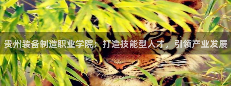 彩神Vii购彩-购彩大厅：贵州装备制造职业学院：打造技能型人