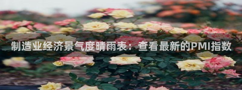 彩神争霸官方下载：制造业经济景气度晴雨表：查看最新的PMI指