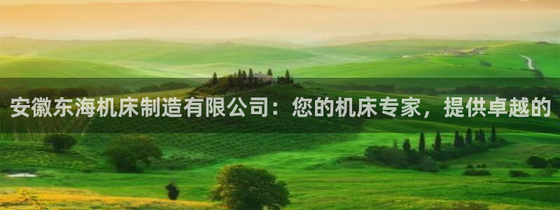 彩神v8是一个什么平台：安徽东海机床制造有限公司：您的机床专家，提供卓越的