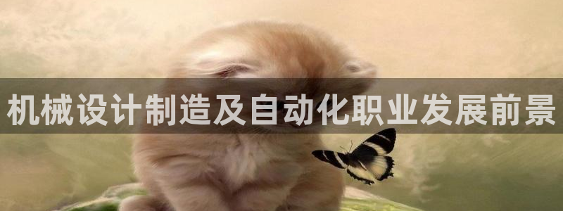 彩神ix能赚钱吗：机械设计制造及自动化职业发展前景