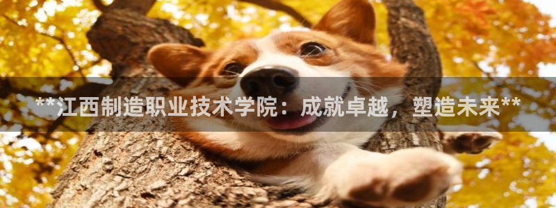 彩神官方邀请码是多少