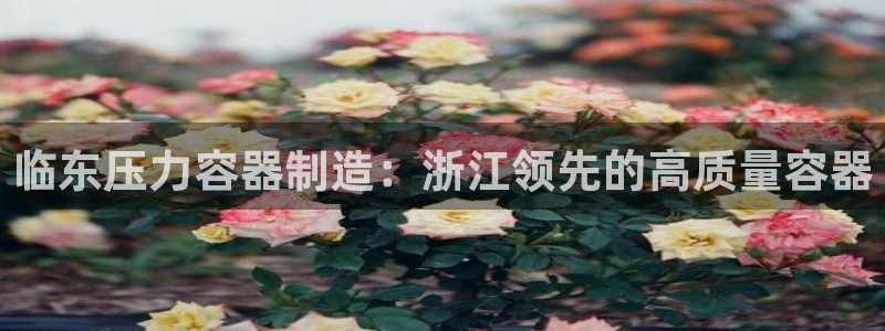 彩神8是正规平台吗