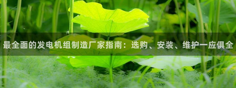彩神ix官网是哪个公司的