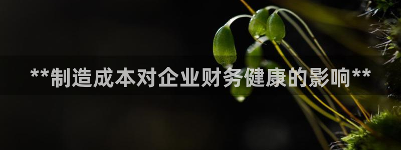 彩神viii下载安卓