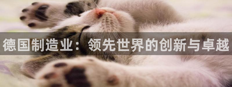 彩神vii官网