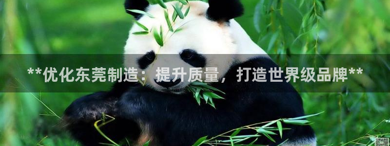 彩神广告有限公司
