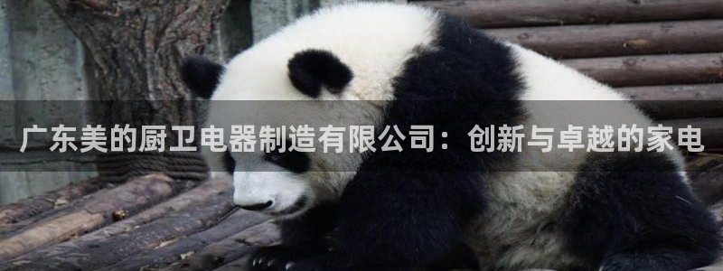 彩神争霸官网登录平台