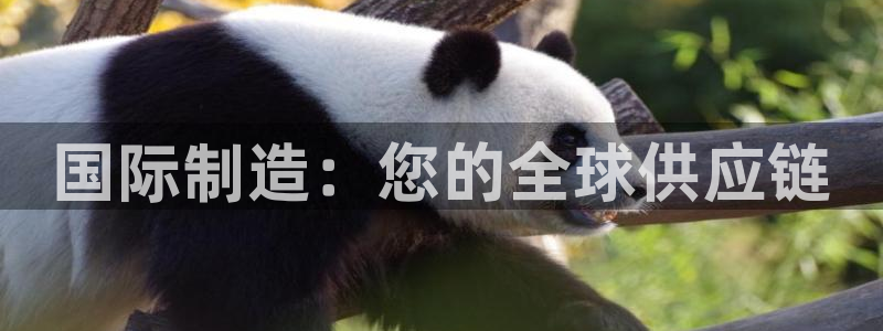 彩神通关注码金码对应码