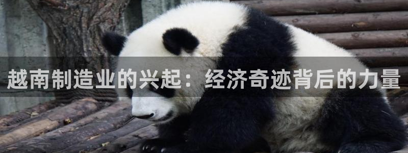 彩神v8客户端