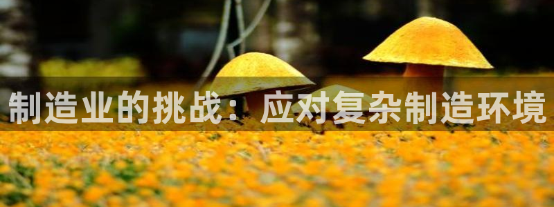 彩神v秘聊号码
