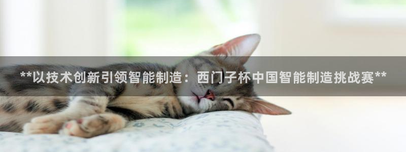 彩神8官网下