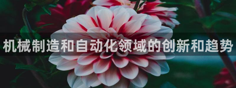 彩神赢的钱是哪里来的