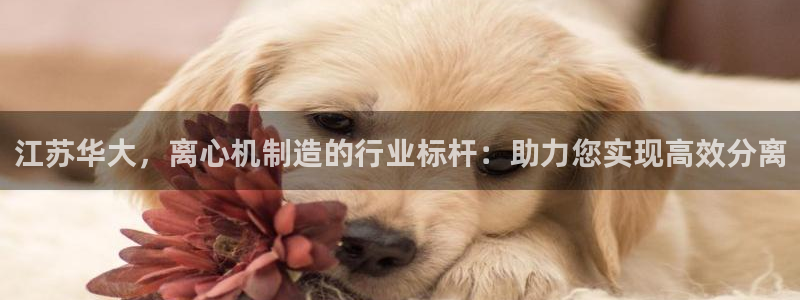彩神赢了钱登录不上去