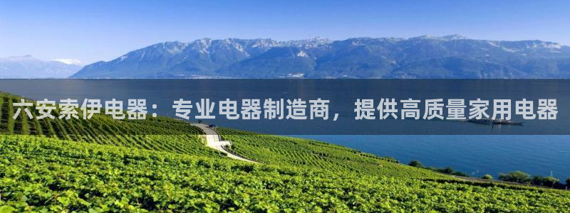彩神8官网合法吗：六安索伊电器：专业电器制造商，提供高质量家