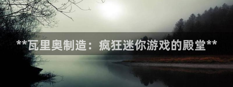 彩神v平台：**瓦里奥制造：疯狂迷你游戏的殿堂**