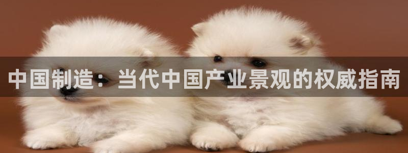 彩神天下专家专栏：中国制造：当代中国产业景观的权威指南