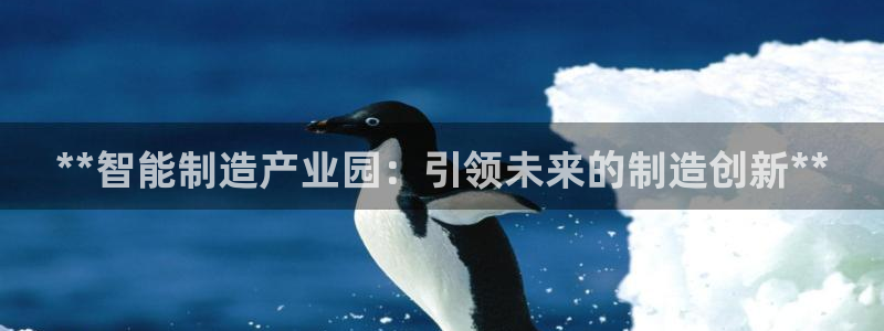 彩神怎么样可以提现：**智能制造产业园：引领未来的制造创新**