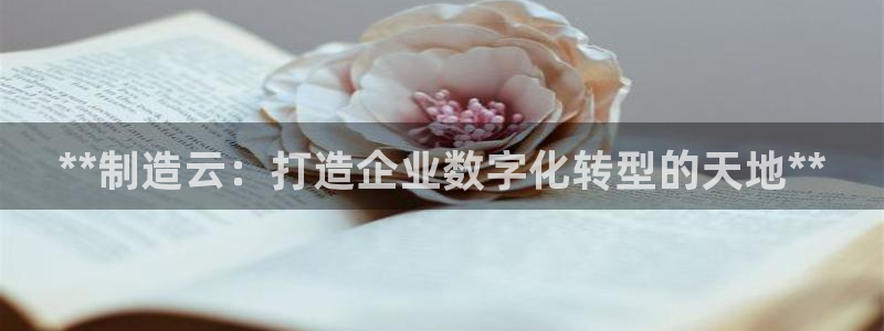 彩神V3大赢家：**制造云：打造企业数字化转型的天地**