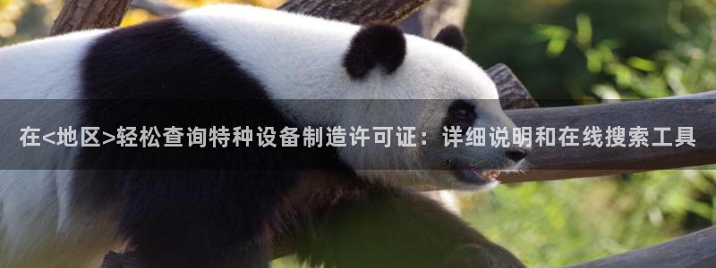 彩神v集团有限公司：在<地区>轻松查询特种设备制造许可证：详细说明和在线搜索工具