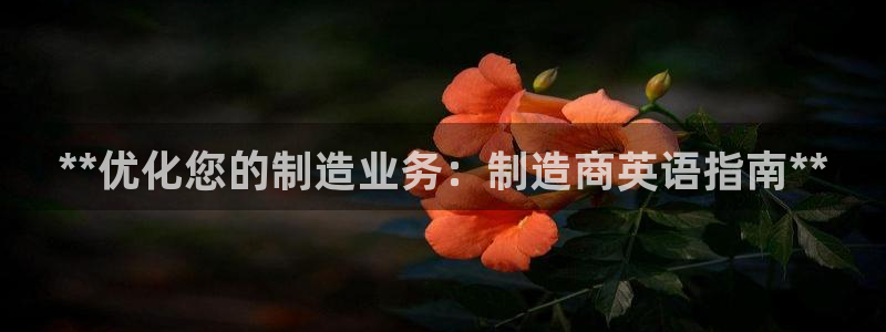 彩神x平台靠什么盈利：**优化您的制造业务：制造商英语指南*