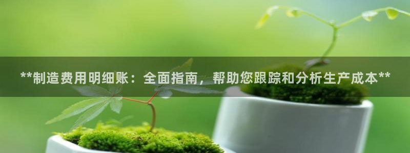 彩神v8平台正规吗可靠吗：**制造费用明细账：全面指南，帮助