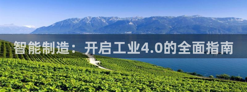 有谁知道彩神争霸的网址：智能制造：开启工业4.0的全面指南