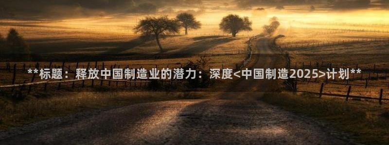 彩神v8app：**标题：释放中国制造业的潜力：深度<中国制