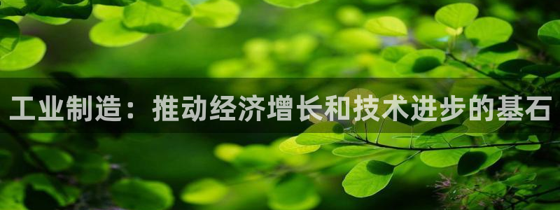 彩神v8是真的挣钱吗：工业制造：推动经济增长和技术进步的基石