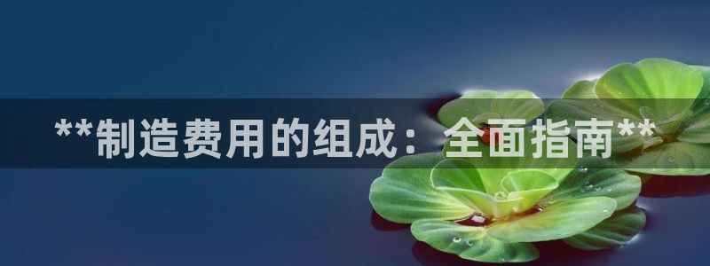 彩神iv能赚钱吗：**制造费用的组成：全面指南**