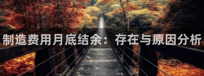 彩神vlll官方网