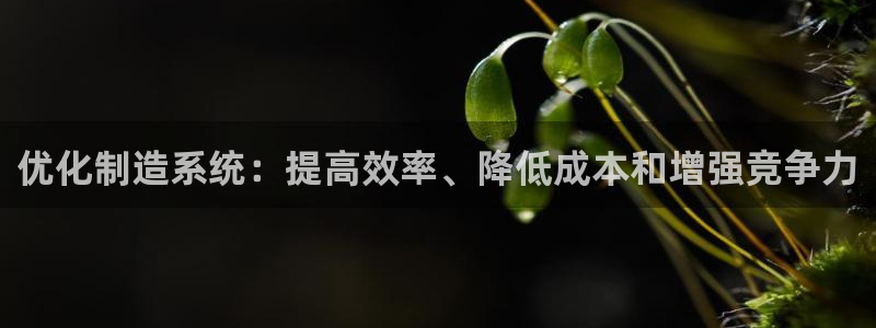 彩神赢钱了吗是真的吗：优化制造系统：提高效率、降低成本和增强
