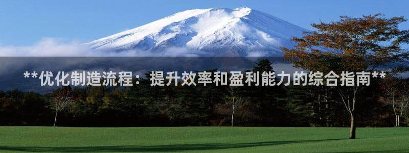 彩神ii官方网：**优化制造流程：提升效率和盈利能力的综合指南**