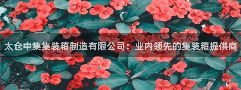 彩神合法吗.是国家认可的吗：太仓中集集装箱制造有限公司：业内
