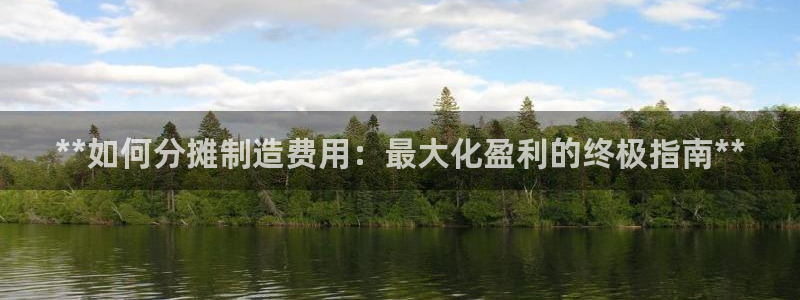 彩神通官方网：**如何分摊制造费用：最大化盈利的终极指南**