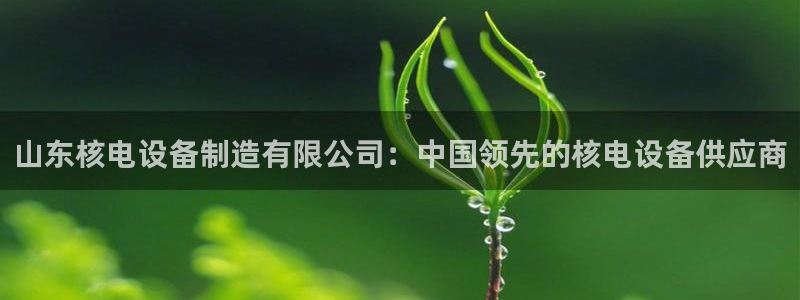 彩神v彩搜狗：山东核电设备制造有限公司：中国领先的核电设备供应商