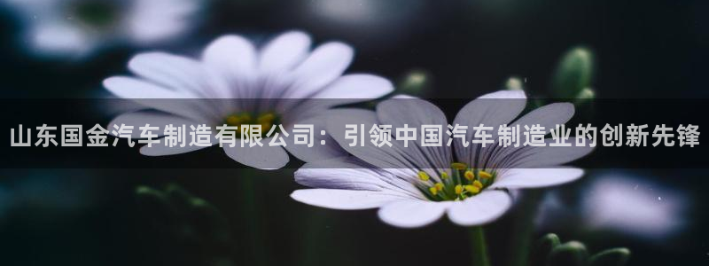 彩神Vll