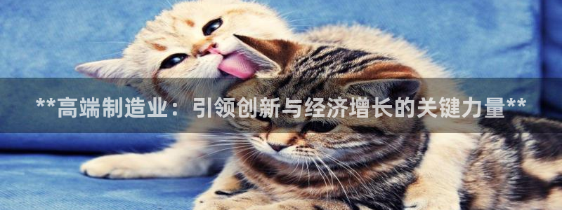 彩神vll首页企业文化：**高端制造业：引领创新与经济增长的关键力量**