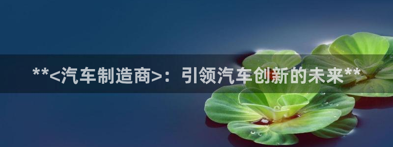 彩神8官网下：**<汽车制造商>：引领汽车创新的未来**