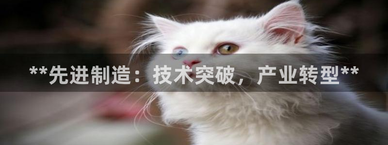 彩神旗下有哪些平台可以玩：**先进制造：技术突破，产业转型**