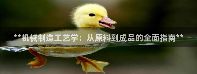 彩神v8下载app5.0：**机械制造工艺学：从原料到成品的全面指南**