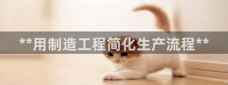 彩神天下专家专栏：**用制造工程简化生产流程**