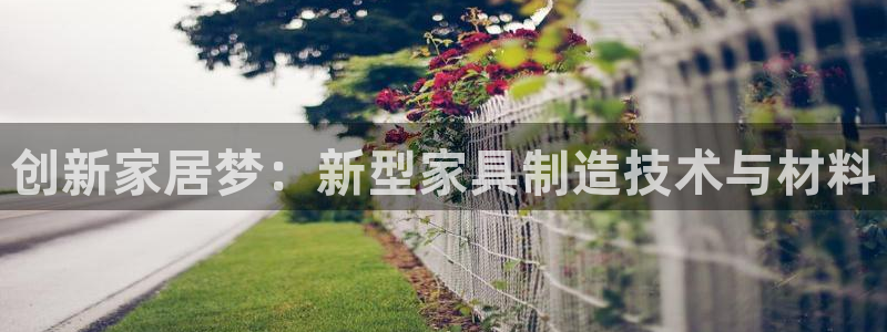 彩神v8是真的挣钱吗安全吗：创新家居梦：新型家具制造技术与材