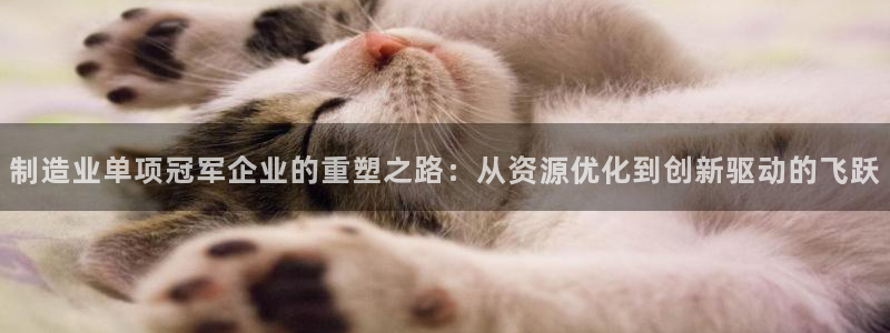 彩神V8平台：制造业单项冠军企业的重塑之路：从资源优化到创新驱动的飞跃